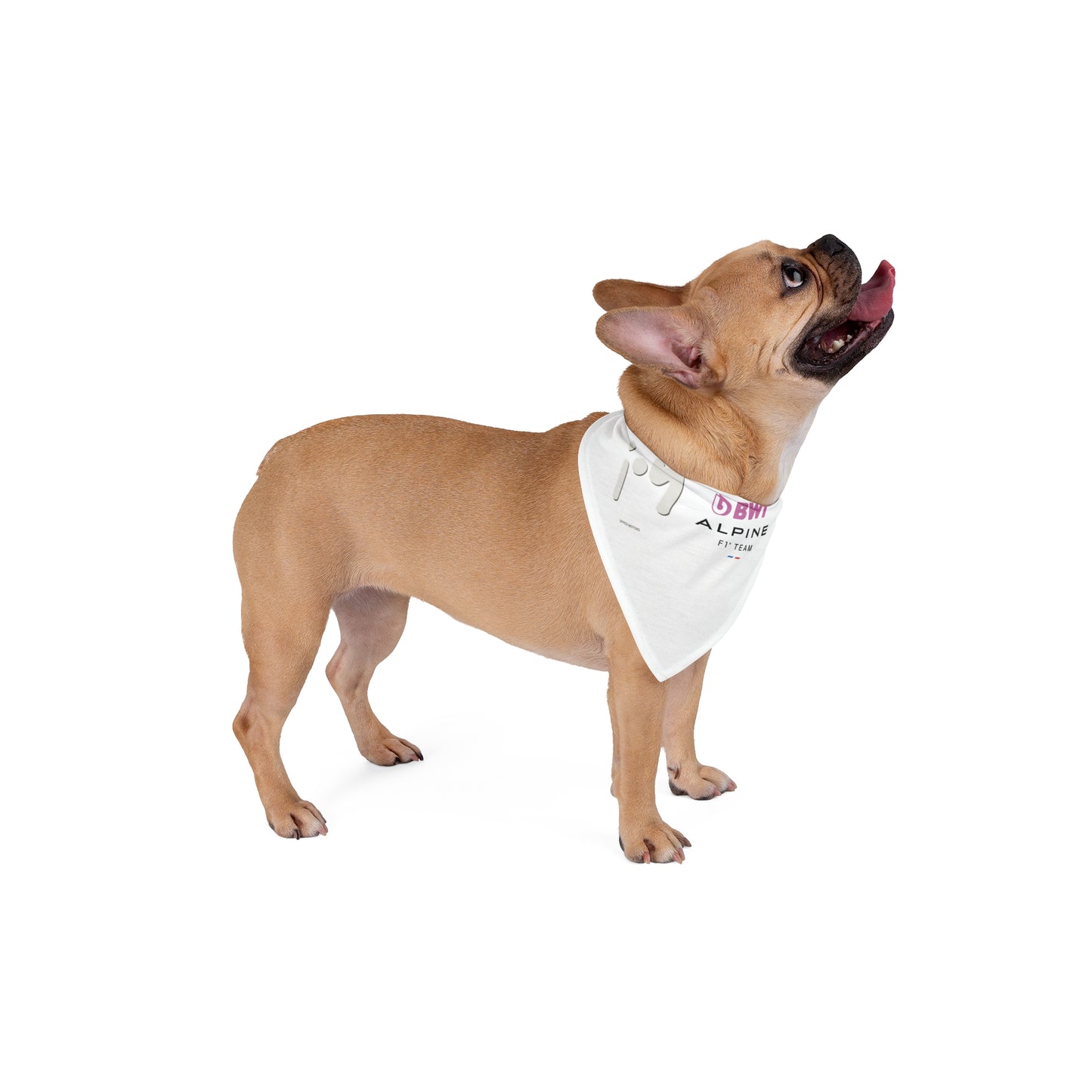 Stylish Pet Bandana for Furry Friends, Cute Dog Accessory, Perfect for Walks, Holidays, Pet Birthdays, Pet Fashion